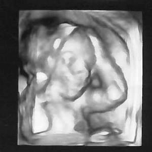 Meet your Posher, Cali